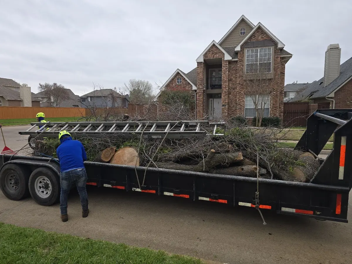 Expert Tree Removal with proper safety equipment in Bristolville